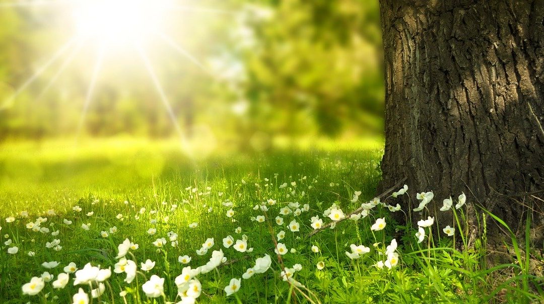 How to be a Light Unto the Nations