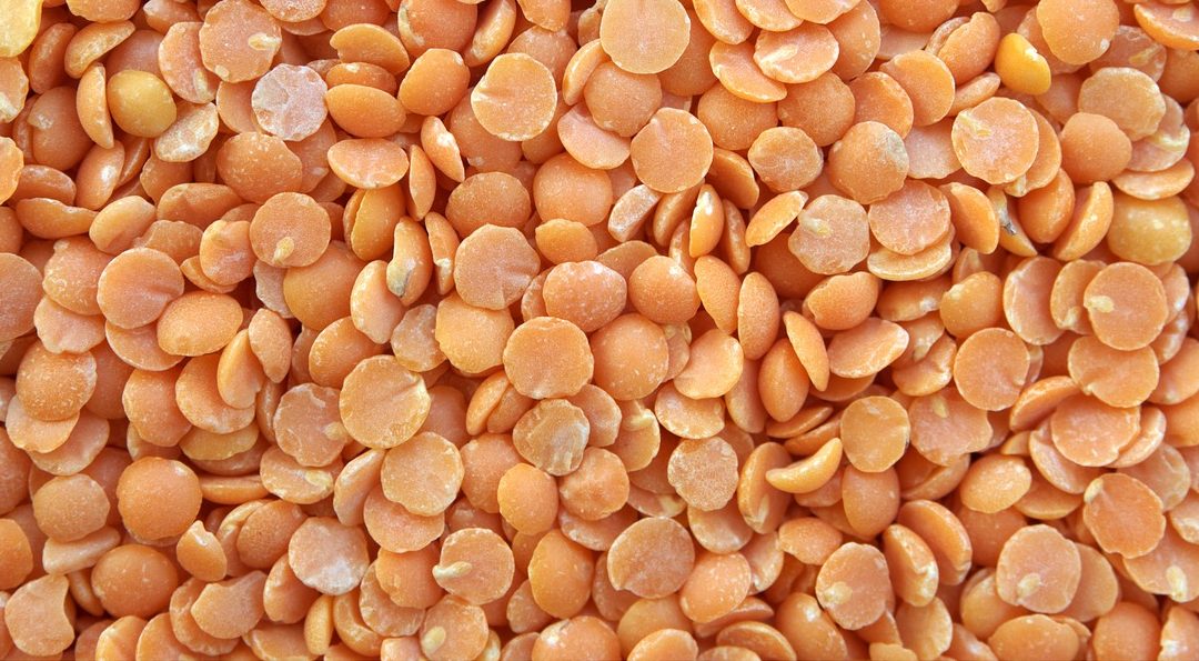 It’s Only Beans!